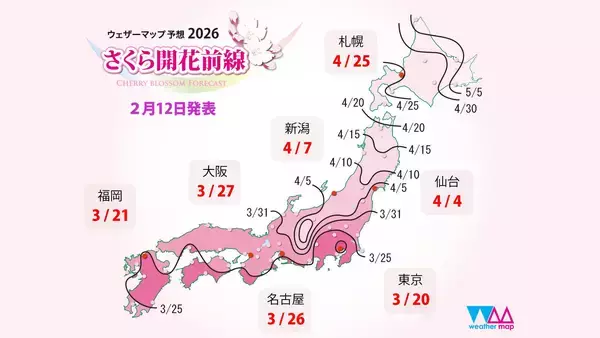 【2026春、桜開花予想】トップバッターはまさかの「東京」!?西日本は平年並みで東日本はやや早めみたいです