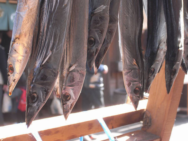 ホンマでっか Tv 秋に向かってさらに愛を深めるテクニック ベスト5 11年9月3日 エキサイトニュース