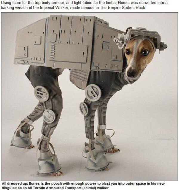 スター ウォーズの兵器の本格コスプレをする犬が話題に 11年10月13日 エキサイトニュース
