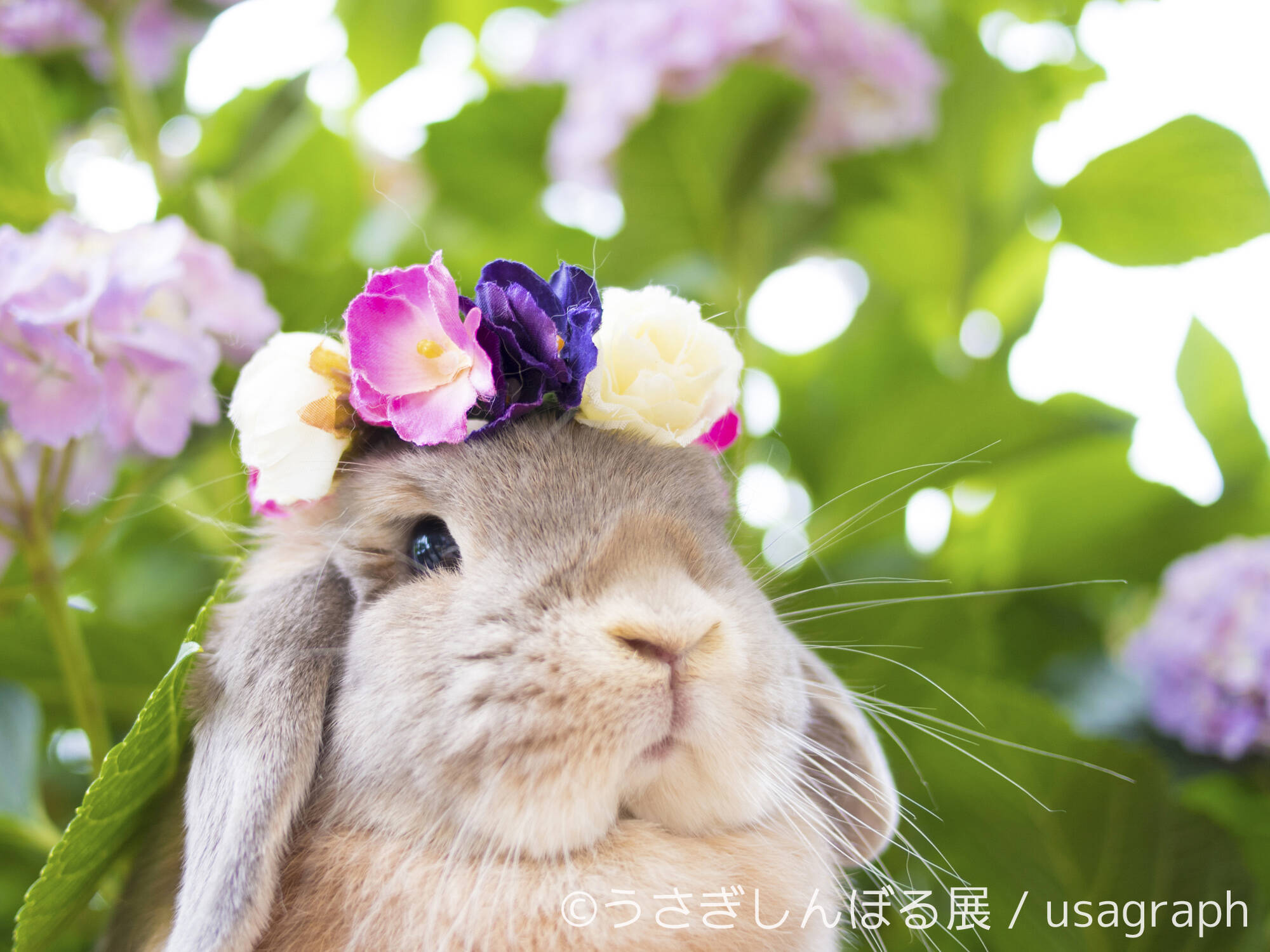 見ているだけで癒されそう うさぎとしんぼる展 が開催されるよぉ 250点以上のウサギ作品が大集合です 16年9月30日 エキサイトニュース