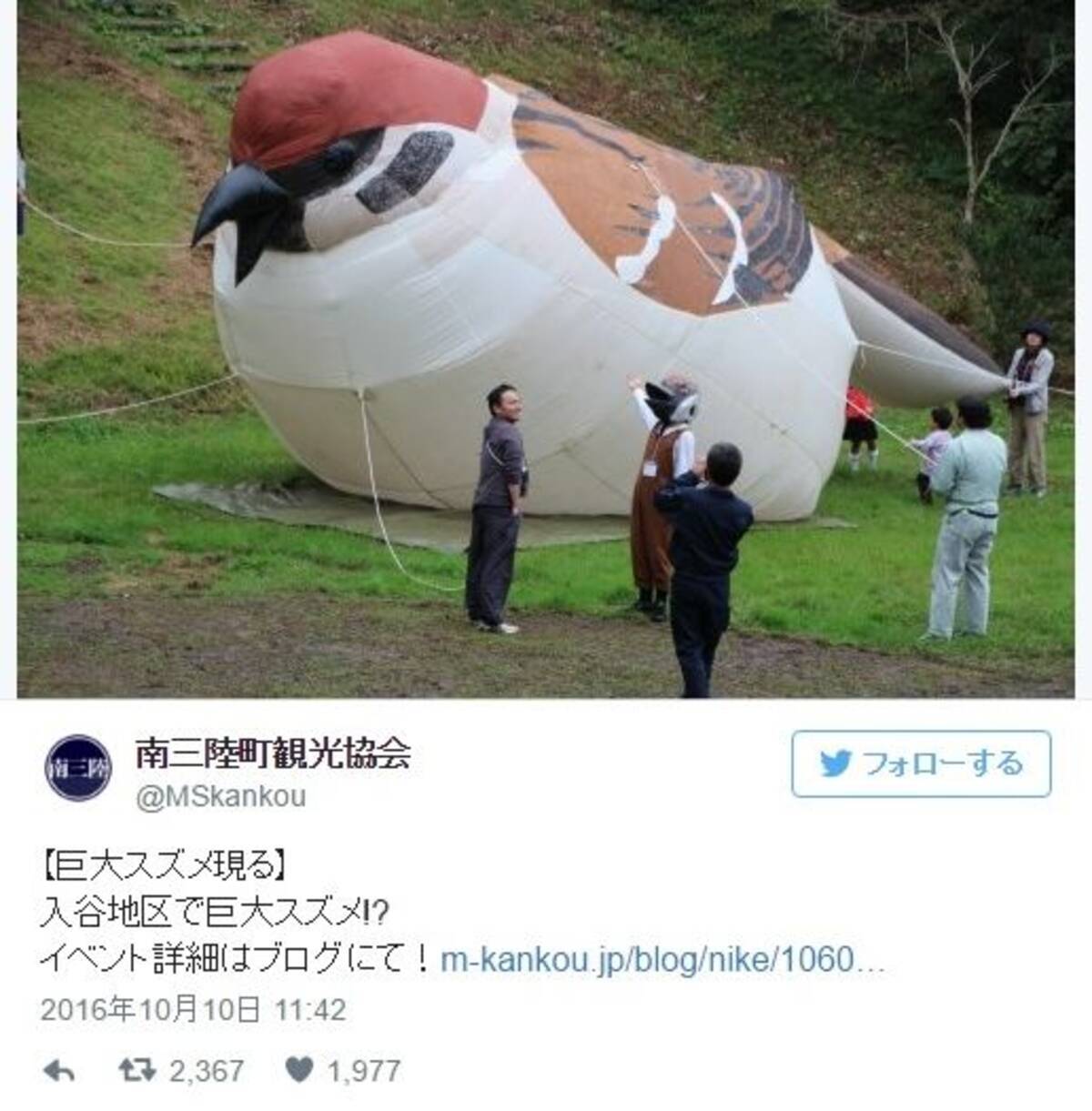 南三陸町に巨大な スズメ が出現 ふっくらで可愛いけれど どうしてスズメなんだろう 16年10月16日 エキサイトニュース