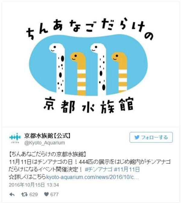 11月11日はポッキーの日だけど ちんあなごの日 でもあるのだ ちんあなごだらけの京都水族館 が開催されるよ 16年11月11日 エキサイトニュース