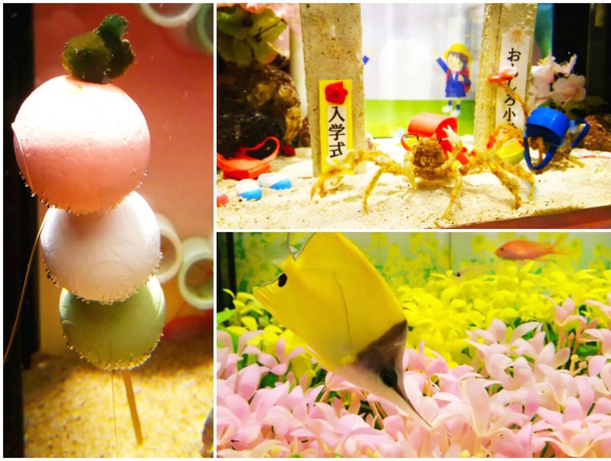 横浜中華街 ヨコハマおもしろ水族館 赤ちゃん水族館 が春色に 花満開水槽 花よりダンゴ水槽 などお楽しみ盛りだくさん 2017年3月18日 エキサイトニュース