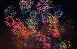 ホタルと花火に癒やされる まったりホタルの里 16年8月23日 エキサイトニュース