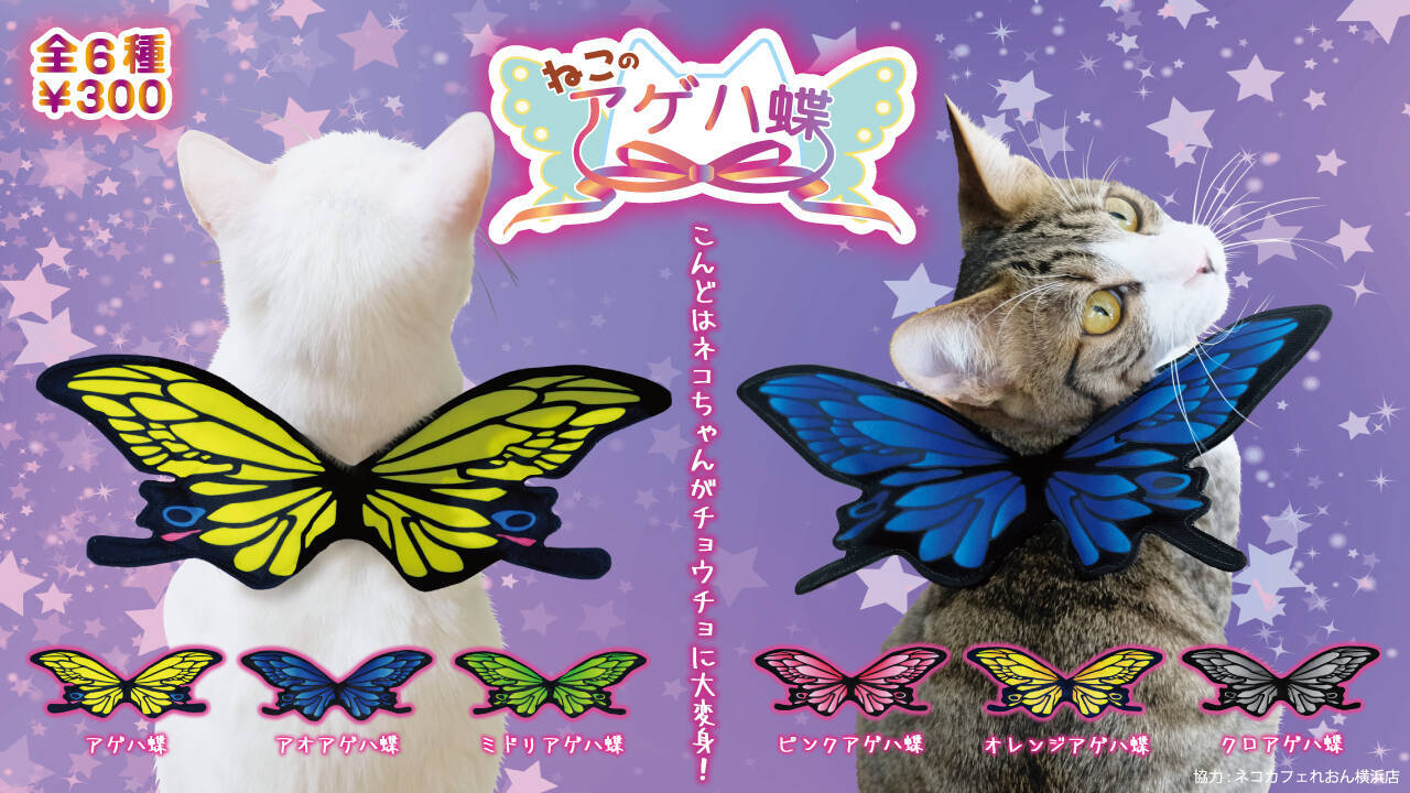 幸せを呼ぶ猫 うちのニャンコがアゲハ蝶に 前脚に通すだけでチョウチョに変身できるカプセルトイが登場だよ 18年6月6日 エキサイトニュース