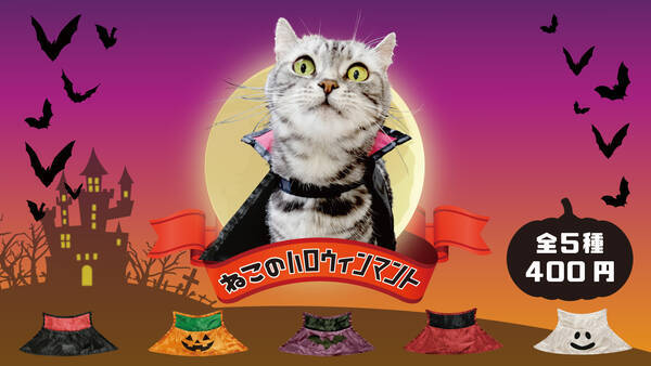 ペットの仮装 カプセルトイに ねこのハロウィンマント が登場したよ 黒マントやオバケなど全5種類あります 18年10月4日 エキサイトニュース