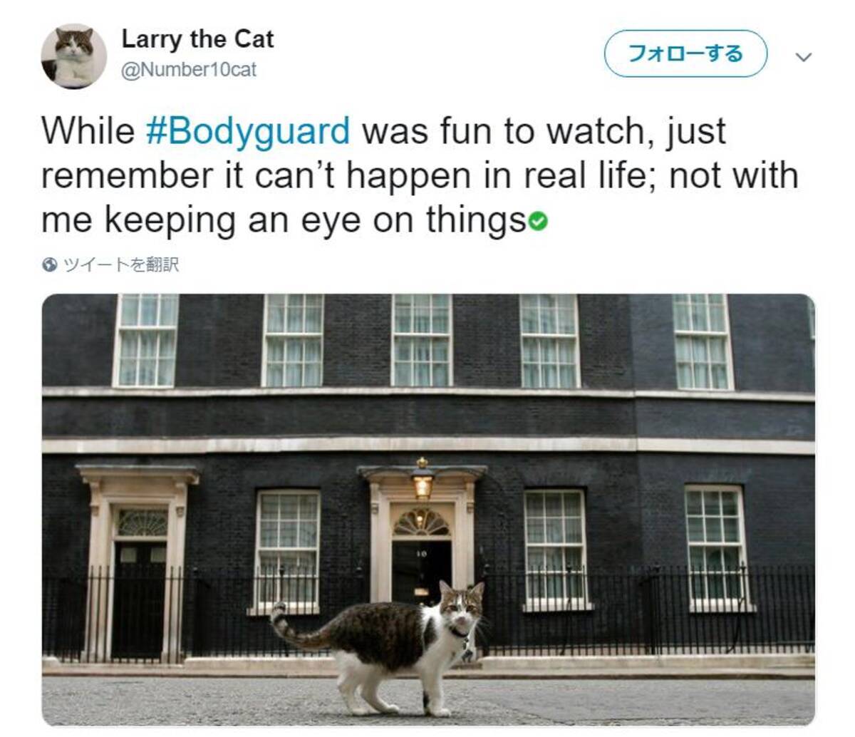イギリスの名物猫 ラリーは国民に愛される超人気者 役職は 最高ネズミ捕り責任者 です 18年11月29日 エキサイトニュース