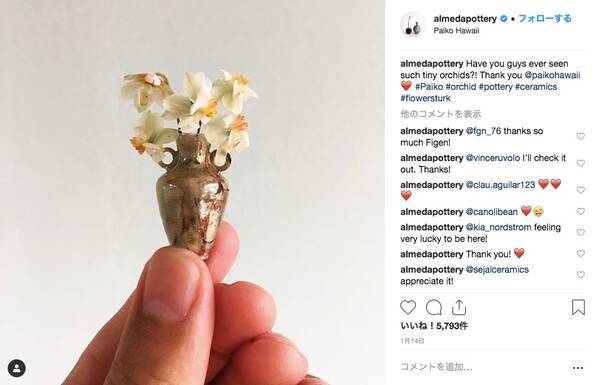 ハワイの美しい自然がとけこんだ指先サイズの陶芸品たち 製作過程をとらえた動画もうっとりするほど美しいのです 19年2月3日 エキサイトニュース
