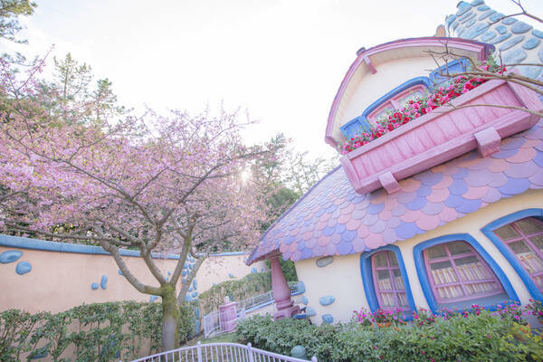 東京ディズニーリゾートで桜が開花 桜モチーフグッズと一緒にお花見が楽しめるよ 19年3月12日 エキサイトニュース