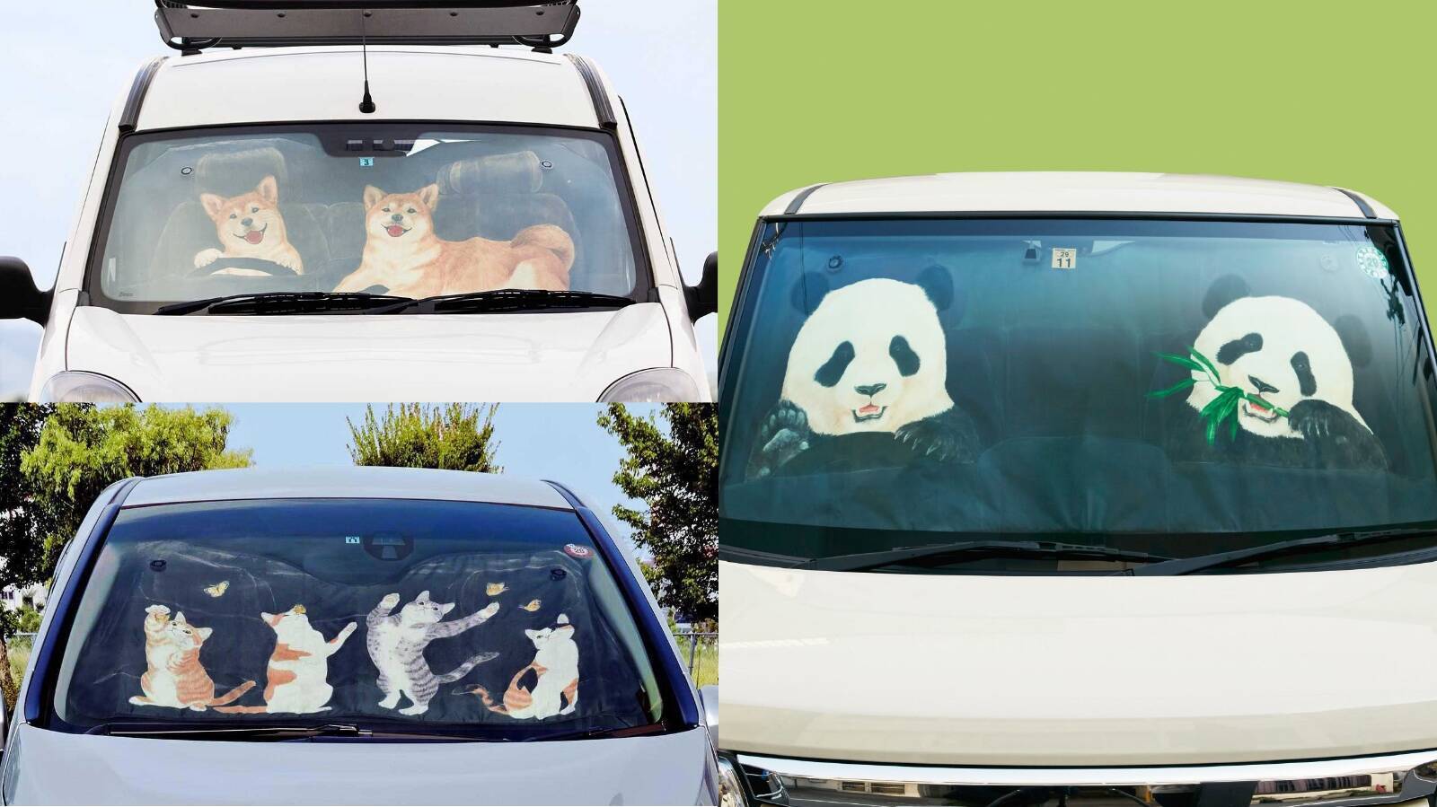 車であなたをお出迎え フェリシモの 動物サンシェード がキュートで癒される パンダ 犬 猫の3種類があるよ 19年4月7日 エキサイトニュース