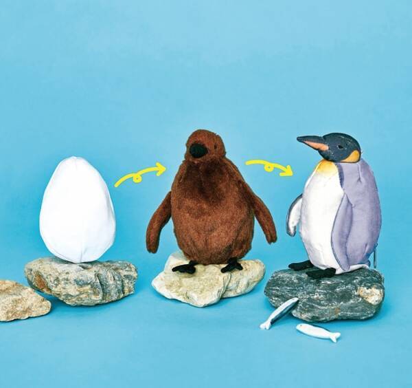 これが水族館の本気 卵 ヒナ 成鳥 と成長していく ペンギンぬいぐるみ をフェリシモ 海遊館が発売 こだわりが尋常じゃありません 19年4月15日 エキサイトニュース