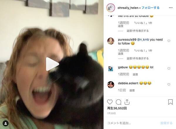 今すぐ歌うのをやめろー 飼い主が歌い始めるとなぜか全力で飛びかかってくる猫が話題に 19年9月9日 エキサイトニュース