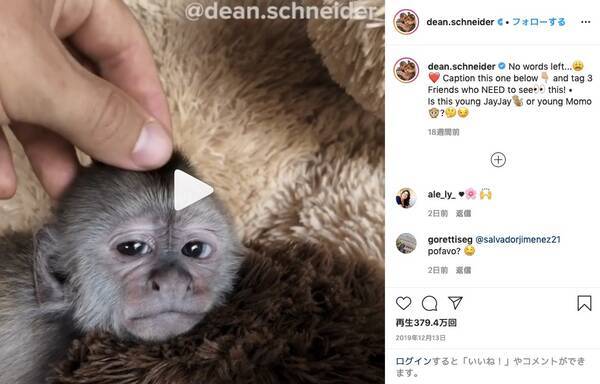 ナデナデ気持ちよすぎ おサルの赤ちゃんが寝落ちする スヤァ 動画が衝撃のカワイさ 年5月7日 エキサイトニュース