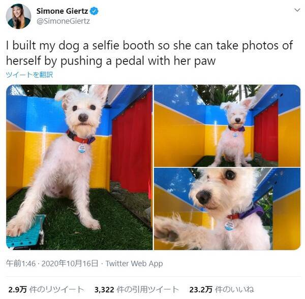 犬が自分でシャッターを押して自撮りできる 愛犬のために作った 犬用セルフィーブース がネットで大人気 年10月25日 エキサイトニュース