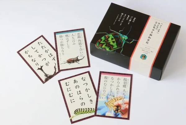 百人一首を昆虫目線で詠んだ 昆虫かるた のクオリティが高すぎる 内容が深くて言葉選びも秀逸です 年12月15日 エキサイトニュース