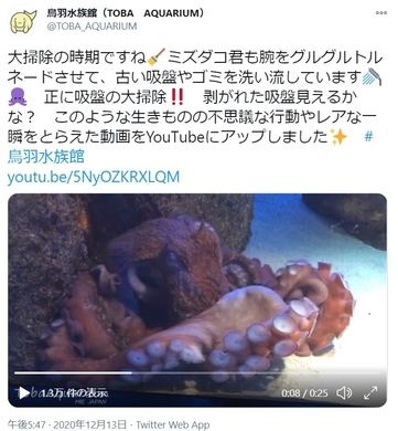 真っ青なザリガニも 茹でると赤くなるらしい 一体なぜ 鳥羽水族館に聞いた 21年3月28日 エキサイトニュース