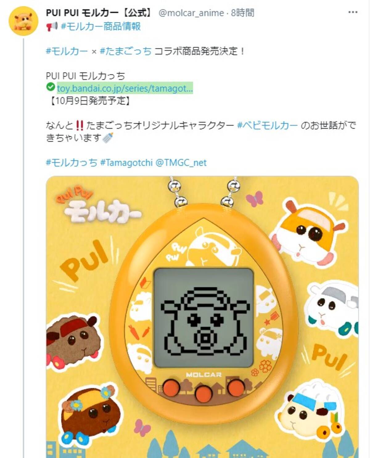 あなたのモルカーは誰に成長する たまごっちとモルカーがコラボ Pui Pui モルカっち が登場するよおぉお 21年6月18日 エキサイトニュース