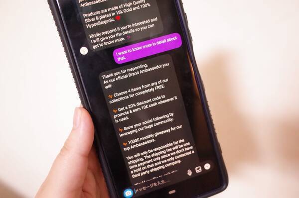 実録 インスタで流行中 アンバサダー詐欺 にあった話 あなたは美人と言われて真に受けた結果 21年9月19日 エキサイトニュース