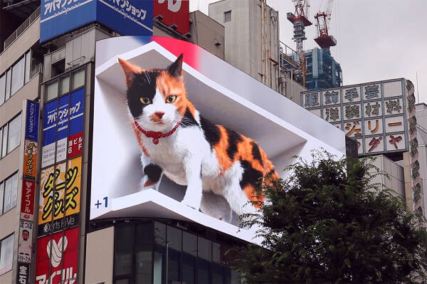 東京 新宿に現れた 巨大猫 の動く姿がド迫力 ビルの上から庶民を見下ろす猫さまの様子をご覧ください 21年7月6日 エキサイトニュース