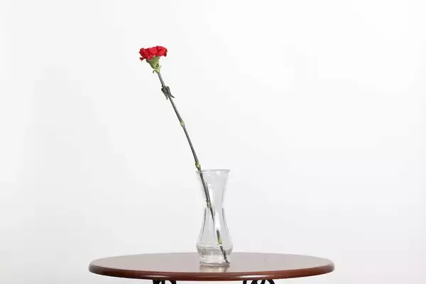 今日は母の日