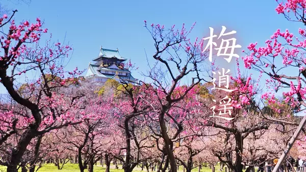 ちょっとずつ春が近づいてきた！王道のあの場所からフェスまで…梅の花を見にいける絶景スポット5選まとめ