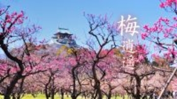 ちょっとずつ春が近づいてきた！王道のあの場所からフェスまで…梅の花を見にいける絶景スポット5選まとめ