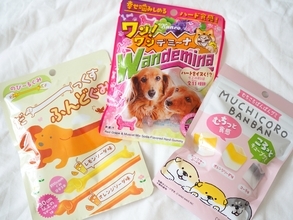 11月1日は犬の日