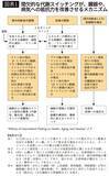 「食事の時間を変えるだけで｢老化と肥満｣を回避…｢1日3食しっかり食べている｣日本人に必要な"空腹の時間"」の画像2