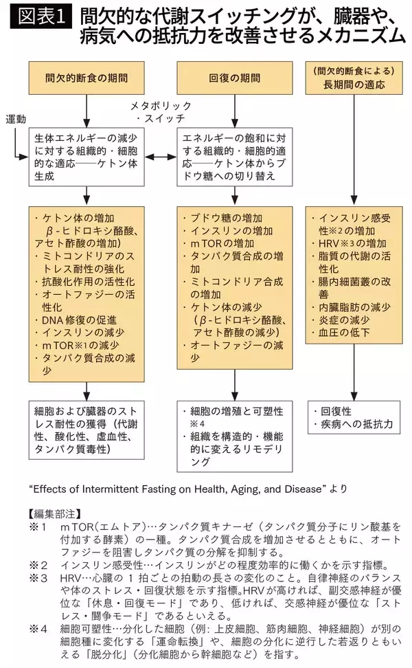 「食事の時間を変えるだけで｢老化と肥満｣を回避…｢1日3食しっかり食べている｣日本人に必要な"空腹の時間"」の画像