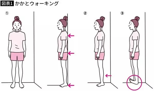 「歩き方を少し変えるだけで｢やせやすい身体｣になる…｢最強のかかと｣で筋力アップする"正しい姿勢"」の画像