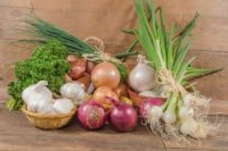 ニンジン並のベータカロテン量を誇る…医師｢体内の老廃物をスッキリ出して解毒に効果的な"ネギ科の野菜"｣