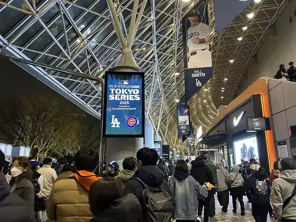 「｢大谷､山本､佐々木が見たい｣だけではない…日本人の2人に1人がワールドシリーズを生で見た"知られざる背景"」の画像