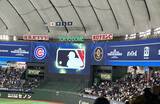 「｢大谷､山本､佐々木が見たい｣だけではない…日本人の2人に1人がワールドシリーズを生で見た"知られざる背景"」の画像4