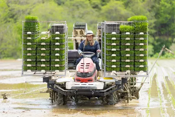 「｢消費税ゼロ｣よりずっと効くのに…政治家が語らず､マスコミが報じない選挙で封印された｢物価高の根本原因｣」の画像