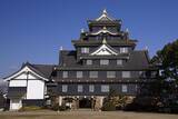 「今だけ"動く"｢重要文化財の現存天守｣が1位…歴史評論家が選ぶ｢2026年の夏に訪れるべき日本のお城ランキング｣」の画像3
