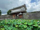 「今だけ"動く"｢重要文化財の現存天守｣が1位…歴史評論家が選ぶ｢2026年の夏に訪れるべき日本のお城ランキング｣」の画像5