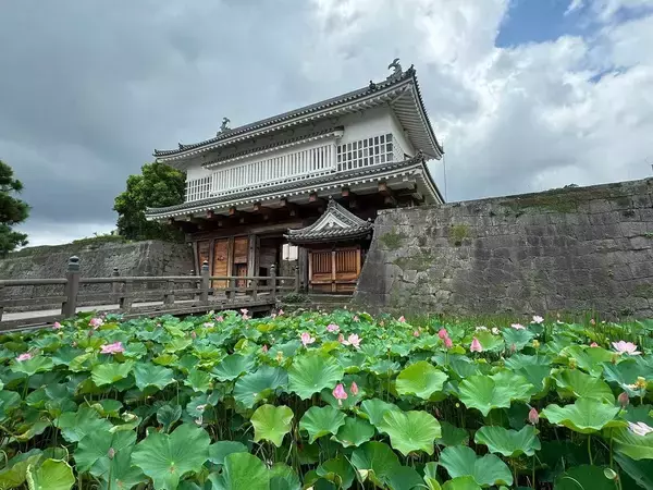 「今だけ"動く"｢重要文化財の現存天守｣が1位…歴史評論家が選ぶ｢2026年の夏に訪れるべき日本のお城ランキング｣」の画像