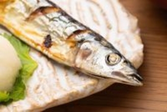 サンマでもサケでもない…おいしくて安くて栄養価の高い"北海道で激増している魚の種類"