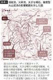 「マグマでも､火山弾でも､火砕流でもない…ハザードマップには載っていない｢富士山大噴火｣の未知のリスク」の画像3
