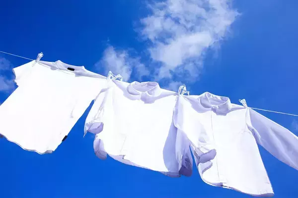 「だから南極では誰も｢白いTシャツ｣を着ない…南極観測隊員が｢色のついた服｣しか持っていかない切実な事情【2026年1月BEST】」の画像