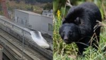 難航するリニア工事に新たに立ちはだかる｢クマの壁｣…奥山での工事長期化が招く予測不能な"リスク"