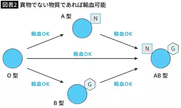 「｢O型→A型｣はいいけど､｢A型→O型｣はダメ…誰にでも輸血できる｢万能血液｣の最後の落とし穴」の画像