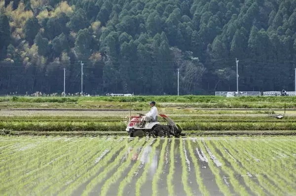 「高市首相は農水省にダマされている…鈴木農水大臣が｢おこめ券｣の次に仕掛ける"サイレント減反"の中身」の画像