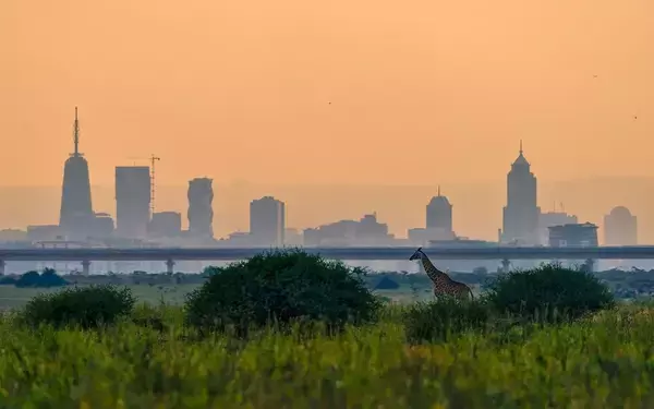 箱根駅伝で活躍したケニア人留学生は今何をしているのか…駅伝スターがたどる｢その後のルート｣