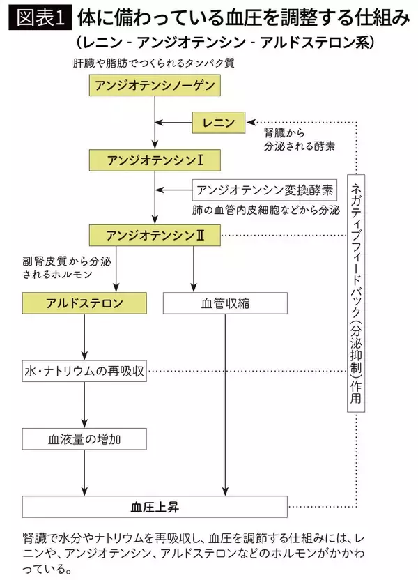 「薬なしで｢血圧220→120｣を実現…医師が解説｢高血圧500人の研究で被検者が食べた食事の内容｣」の画像