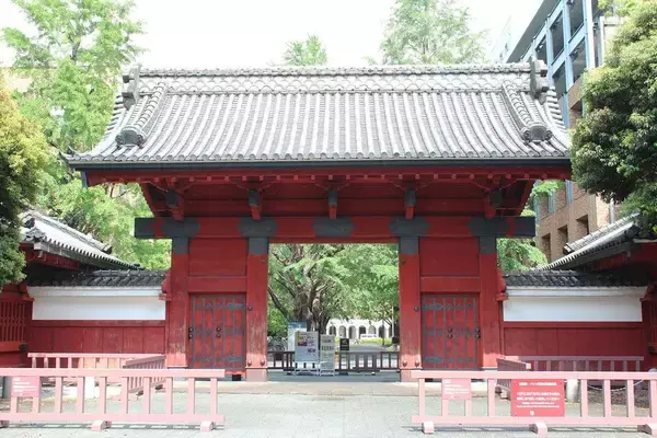 「｢家賃1万5000円の4畳半｣で浪人→東大受験19回失敗…｢38歳で大学1年生｣になった男性が知った"学歴の値打ち"」の画像