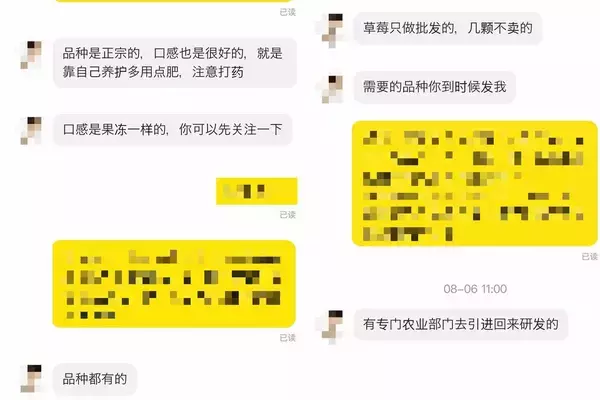 「日本独自の苗木が中国で違法売買されている…｢シャインマスカット｣の次に流出し始めた果物の名前」の画像