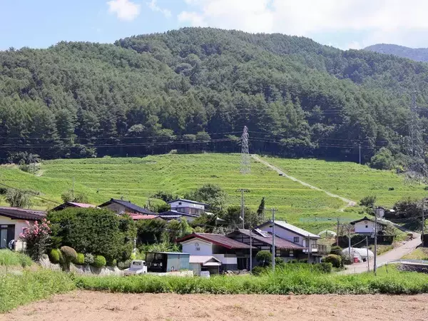 ｢このままでは日本の農業がダメになる｣は大間違い…10年で4割の農家が消えた現場で進む｢静かな進化｣