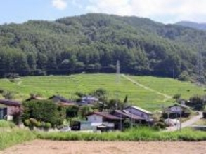 ｢このままでは日本の農業がダメになる｣は大間違い…10年で4割の農家が消えた現場で進む｢静かな進化｣