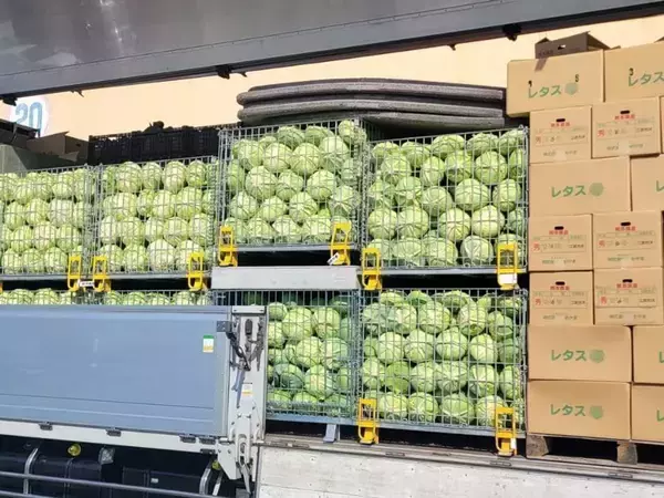 「｢このままでは日本の農業がダメになる｣は大間違い…10年で4割の農家が消えた現場で進む｢静かな進化｣」の画像